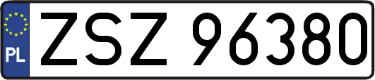 ZSZ96380