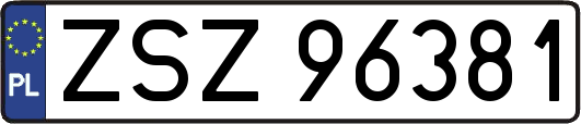 ZSZ96381