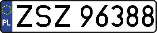 ZSZ96388