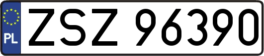 ZSZ96390
