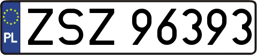 ZSZ96393