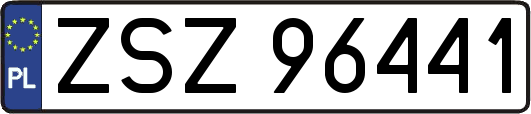 ZSZ96441