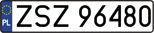 ZSZ96480