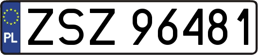 ZSZ96481