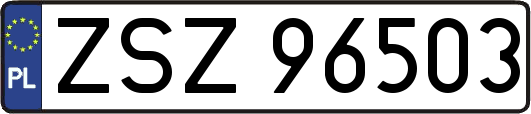 ZSZ96503