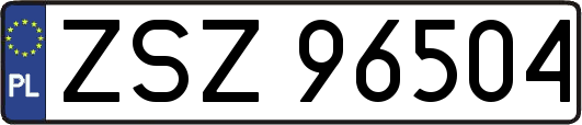 ZSZ96504