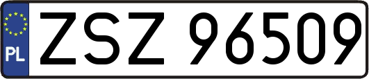 ZSZ96509