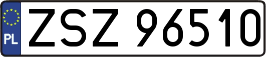 ZSZ96510