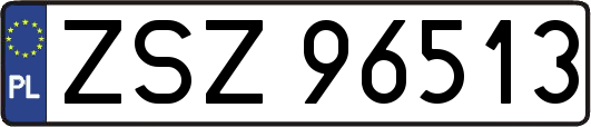 ZSZ96513