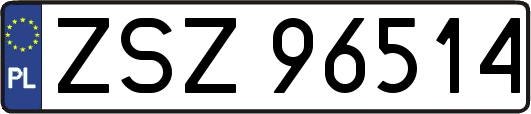 ZSZ96514