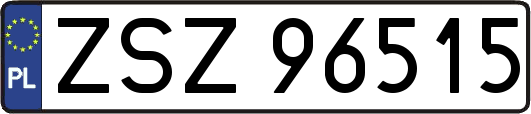 ZSZ96515