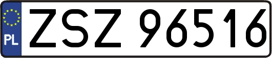ZSZ96516