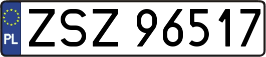 ZSZ96517