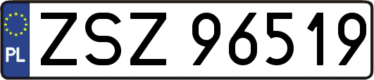 ZSZ96519
