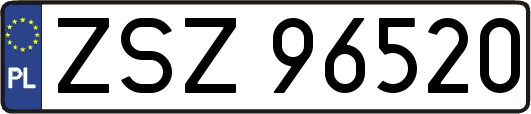 ZSZ96520