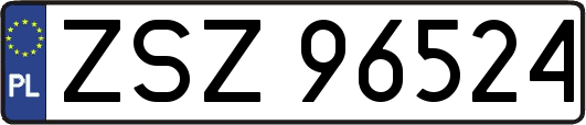 ZSZ96524