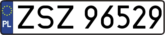 ZSZ96529