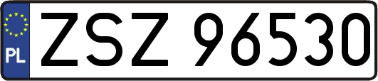 ZSZ96530
