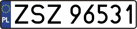 ZSZ96531