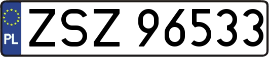 ZSZ96533