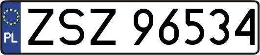 ZSZ96534