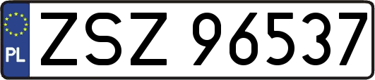 ZSZ96537