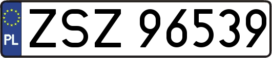 ZSZ96539