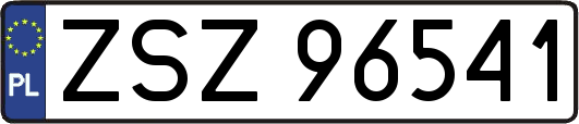 ZSZ96541