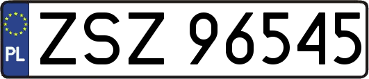 ZSZ96545