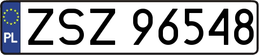 ZSZ96548