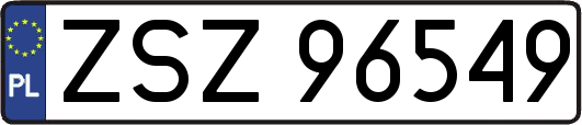 ZSZ96549
