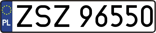 ZSZ96550