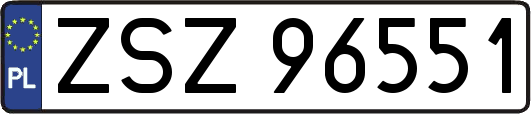 ZSZ96551