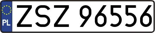 ZSZ96556
