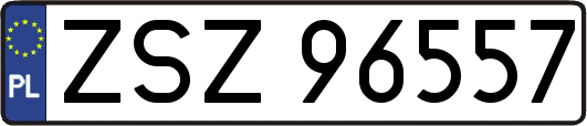 ZSZ96557