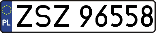 ZSZ96558