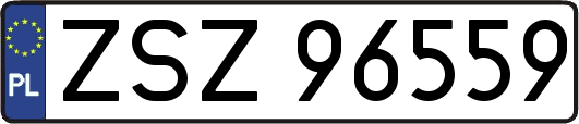 ZSZ96559