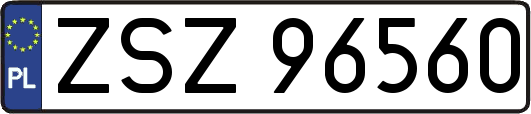 ZSZ96560