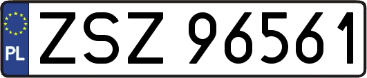 ZSZ96561