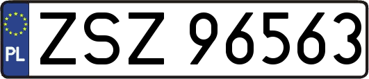 ZSZ96563