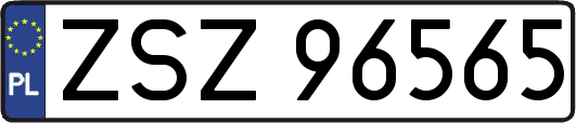 ZSZ96565