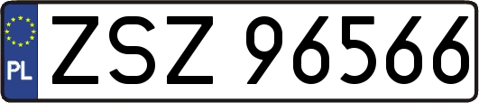 ZSZ96566