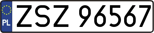 ZSZ96567