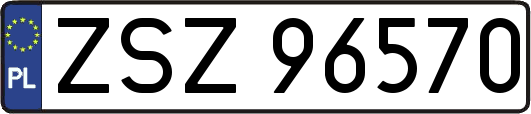 ZSZ96570