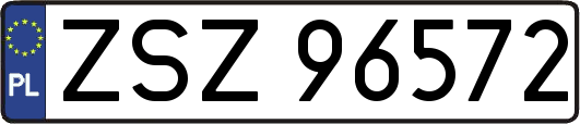 ZSZ96572