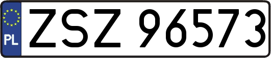 ZSZ96573
