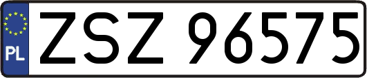 ZSZ96575