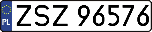 ZSZ96576