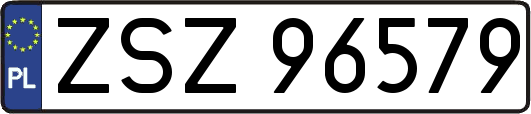 ZSZ96579