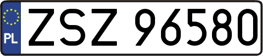 ZSZ96580